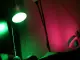 wyze-bulb-color-review-4-of-10